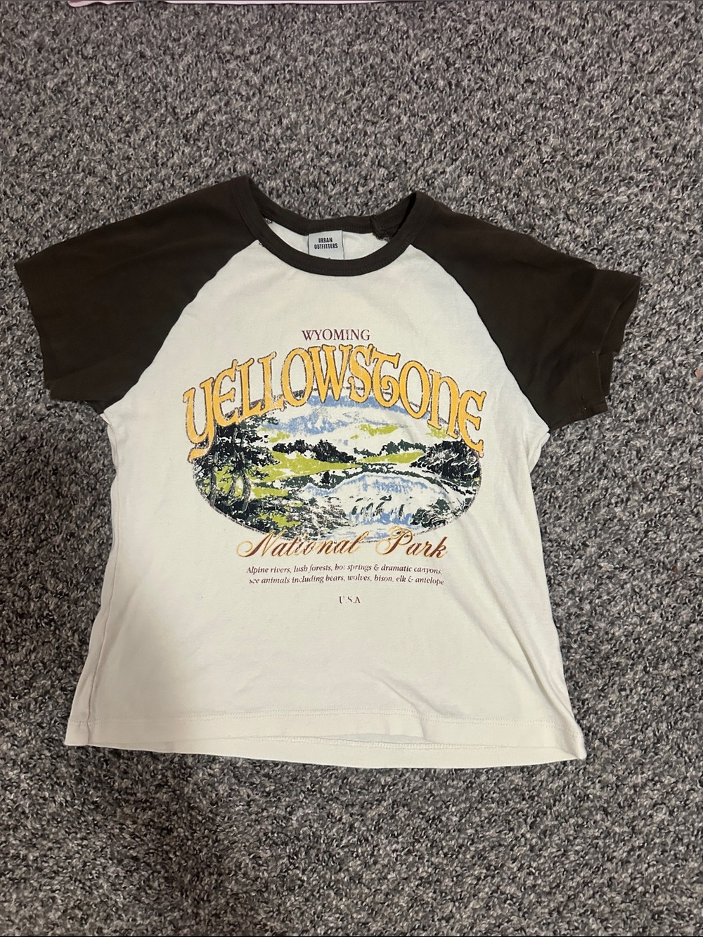 Urban Outfitters Yellowstone Graphic Raglan Tee - Cream & Brown